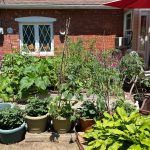 article image - front1